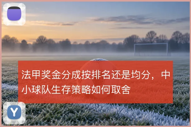法甲奖金分成按排名还是均分，中小球队生存策略如何取舍